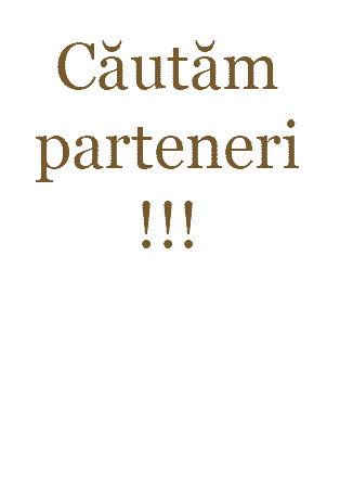 Proiect Cetatea Tighina